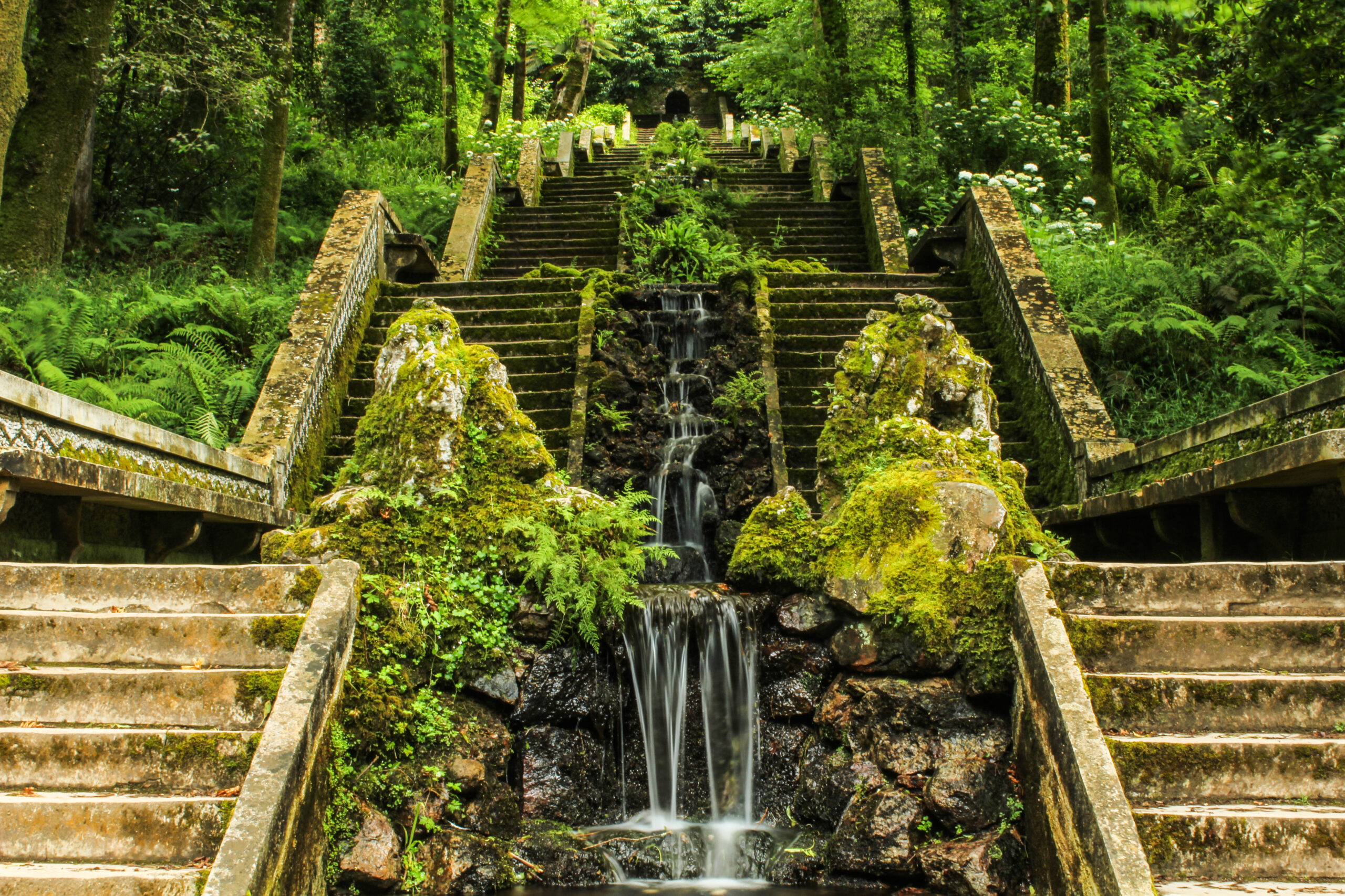 Mata Nacional do Bussaco